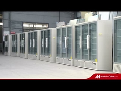 Vriesvrije rechtopstaande vriezer met raamloze drievoudig geglazuurde anti-mist glazen deur