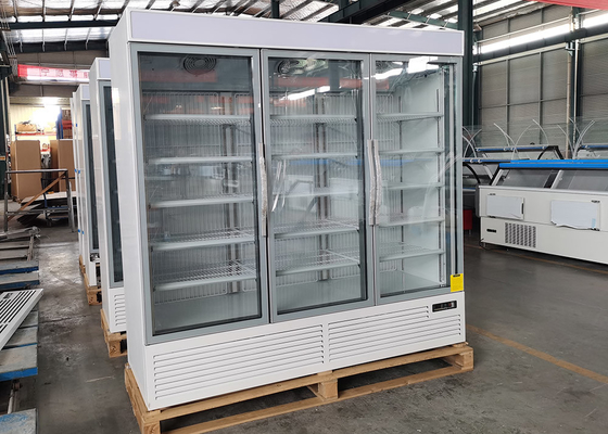 Upright Display Freezer with Glass Door for Frozen Food, Energy Saving