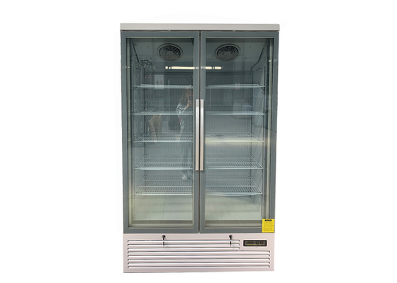Vertical 2 Glass Door Commercial Display Freezer R290 Bottom Mount 810L