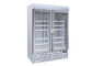 880 Liters Plug In R290 Refrigerant Swing Upright Glass Door Freezer Merchandiser