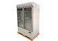 880 Liters Plug In R290 Refrigerant Swing Upright Glass Door Freezer Merchandiser