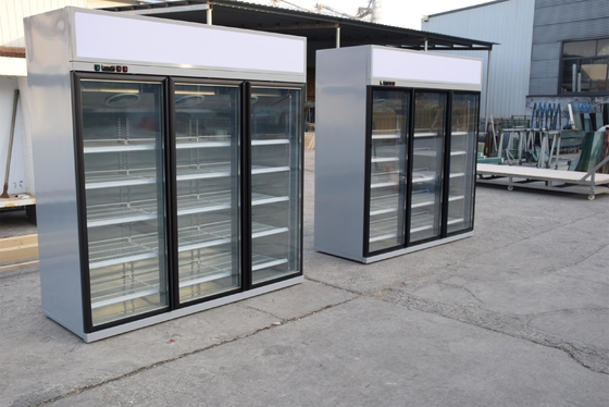 Rechte Multidekkoeler met Dubbele Verglaasde Glasdeur