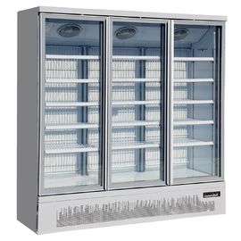Digitale van de de Deurdiepvriezer van het Thermostaat Rechte Glas Commerciële Merchandiser Diepvriezer