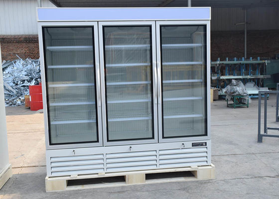 2040 liter Drie de Deurmerchandiser van het Schommelingsglas Diepvriezers met Bodem Opgezet R290-Koelingssysteem