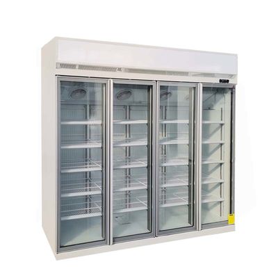 Rechte de Vertoningsdiepvriezer van de Tecumsehcompressor Met alle accomodatie