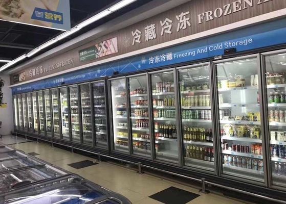 Carel Thermostat Commercial Upright Freezer voor Bevroren Voedsel