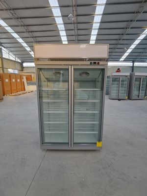 Diepvriezer van de het Glasdeur van de gemakopslag R404a de Rechte met SECOP-Compressor