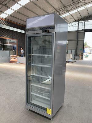 De commerciële Ijskast van de Flessendrank met Één Deur van het Schommelingsglas
