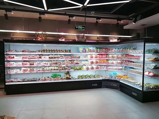 Koelkast van de supermarkt de Open die Vertoning voor Zuivelfabriek en Dranken wordt gebruikt