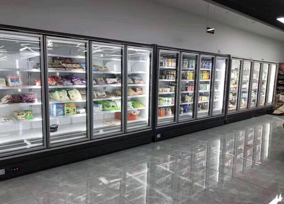 Antimerchandiser van het Mistglas Deur Gekoelde Vertonings Verticale leiden